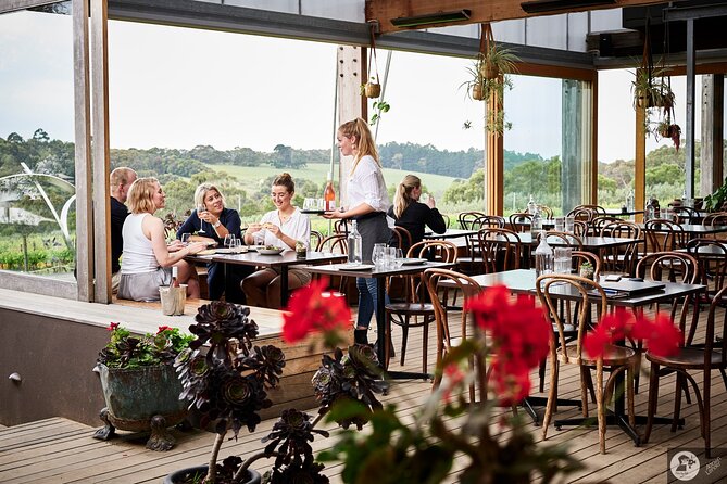 Montalto Vineyard: Mornington Peninsula Discovery Wine Tasting and Lunch - Is $96.83 good value?