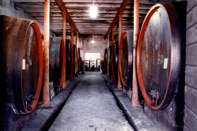 Montefalco: Historic cellar and vineyard tour with wine tasting - Key points to know before booking