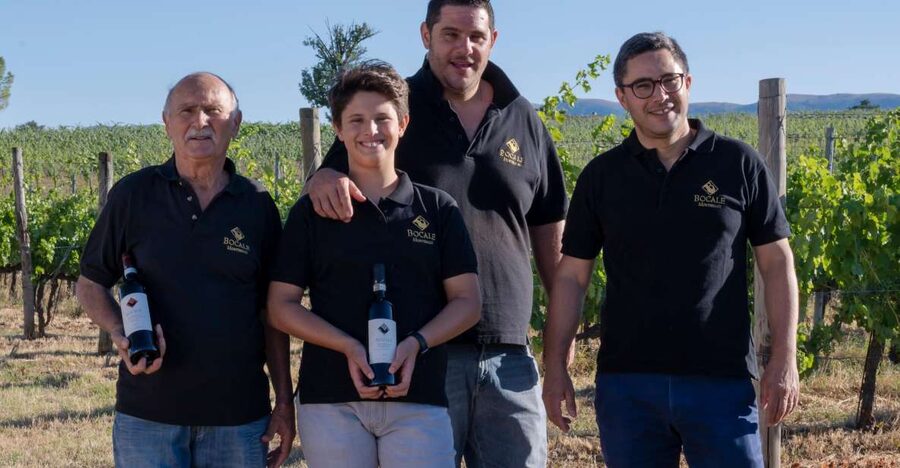 Montefalco: Winery and Vineyard Tour and Private Tasting - Key points to know before you go