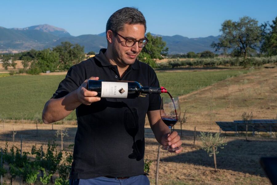 Montefalco: Winery and Vineyard Tour and Private Tasting - Practical details that matter