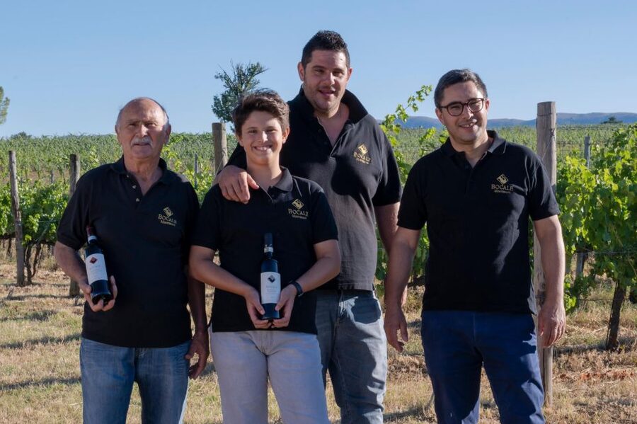 Montefalco: Winery and Vineyard Tour and Private Tasting - Walking through the vineyard