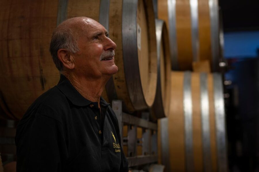 Montefalco: Winery and Vineyard Tour and Private Tasting - Why the $29 price offers solid value