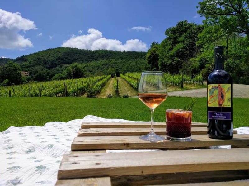 MONTEPULCIANO - PIC NIC WITH WINE! SURROUNDED BY VINEYARDS - Arriving at Podere della Bruciata in SantAlbino