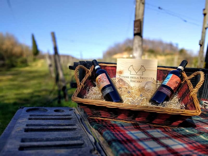 MONTEPULCIANO - PIC NIC WITH WINE! SURROUNDED BY VINEYARDS - Two Glasses During the Wine Tasting