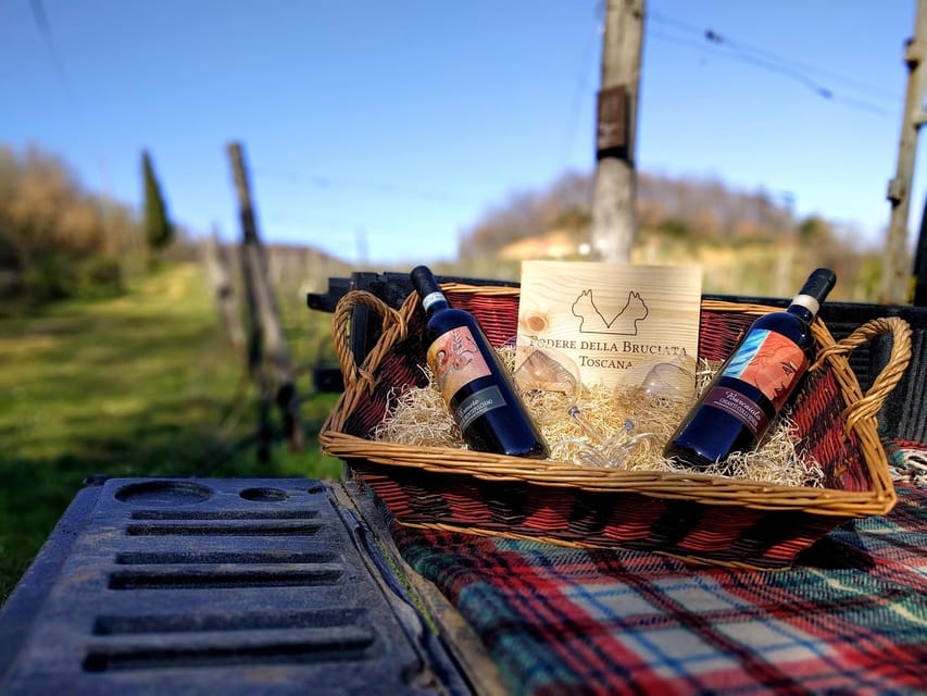 MONTEPULCIANO - PIC NIC WITH WINE! SURROUNDED BY VINEYARDS - Who Will Enjoy This Montepulciano Experience?