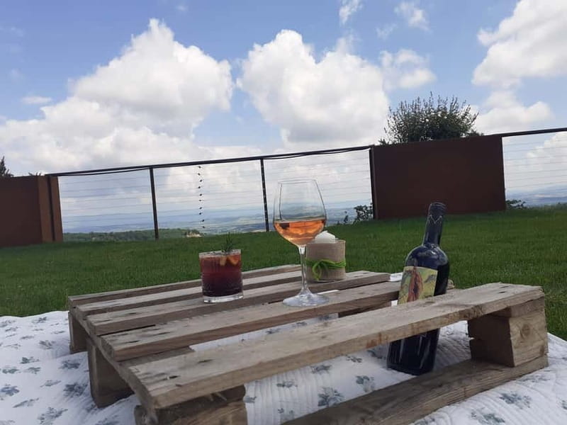 MONTEPULCIANO - PIC NIC WITH WINE! SURROUNDED BY VINEYARDS - Starting With the Vineyard and Cellar Tour