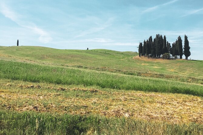 Montepulciano Vineyards Wine Tour with 3 Estates Visit - Who will enjoy this Tuscany wine tour?
