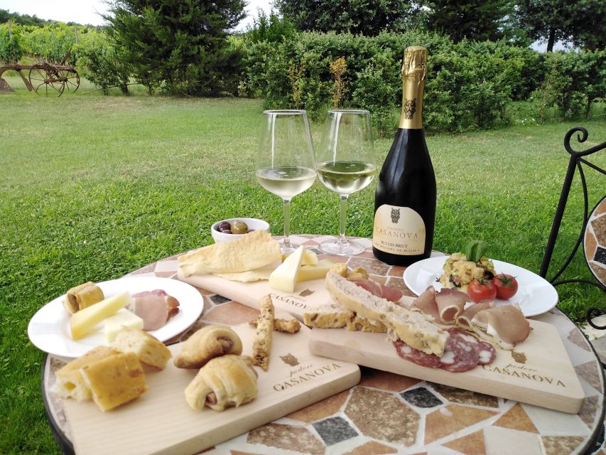 Montepulciano: Winery Tour, Tasting, and Vineyard Picnic - Key points to know before booking