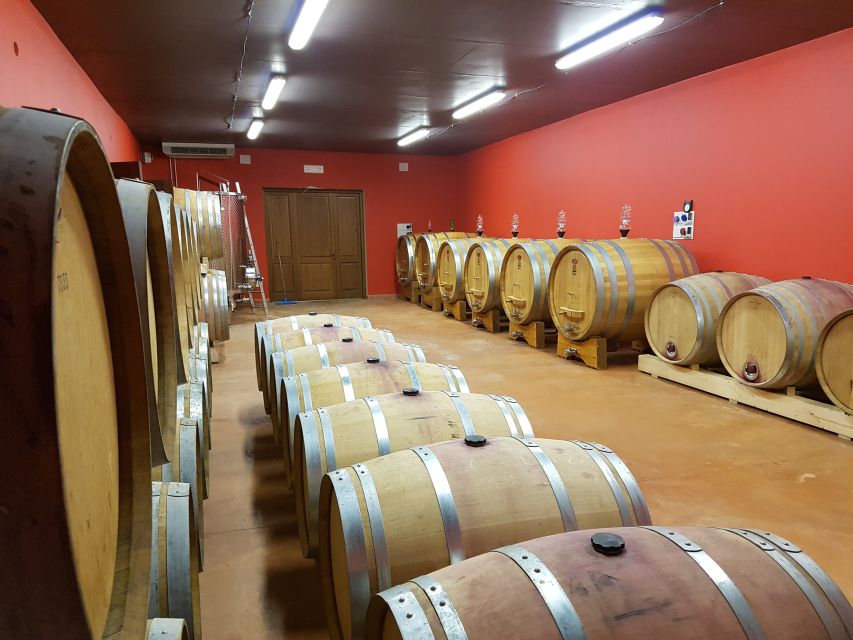 Montepulciano: Winery Tour, Tasting, and Vineyard Picnic - The vineyard picnic is the heart of the visit