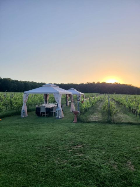 Montepulciano: Winery Tour, Tasting, and Vineyard Picnic - Guides who make the visit personal