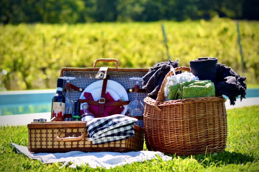 Montepulciano: Winery Tour, Tasting, and Vineyard Picnic - Who will enjoy this winery outing most?