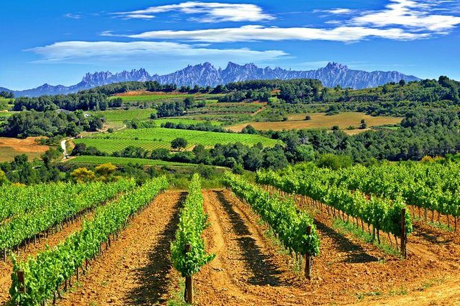 Montserrat,Vineyard, Wine Tasting Small Group Tour & Hotel Pickup - Into Penedès and Sant Sadurní d’Anoia