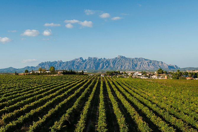 Montserrat,Vineyard, Wine Tasting Small Group Tour & Hotel Pickup - The Cava Visit and Extra Cost