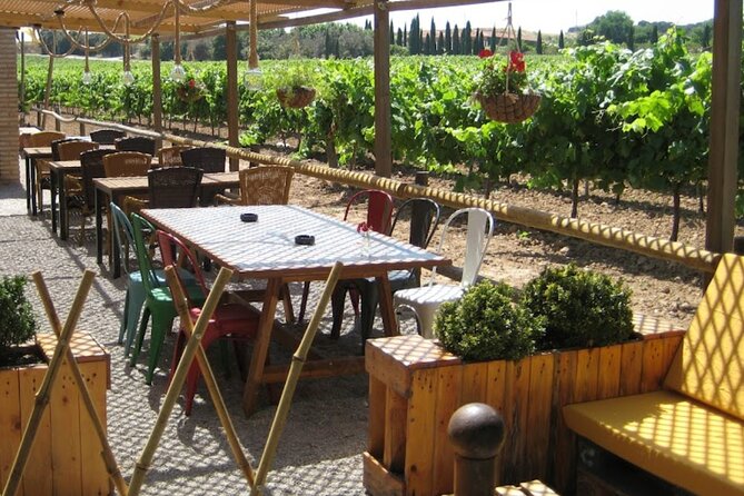 Montserrat & Winery Visit Tour with Traditional Farmhouse Lunch - Reaching Montserrat’s unusual mountain monastery
