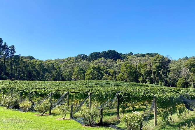 Mornington Peninsula Self-Guided Bike Tour | Food & Wine Region - Red Gum BBQ makes lunch easy