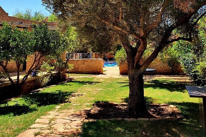 Morocco Vineyard Visit and Gourmet Tours - Day 5: Rissani, the Valley of Roses, and Skoura