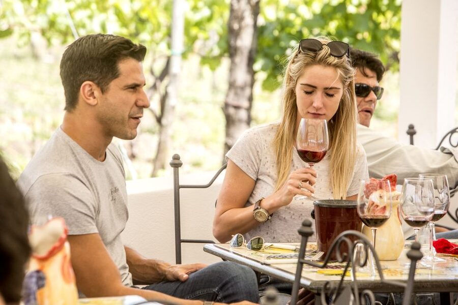Mount Vesuvius: Vineyard Tour with Wine Tasting and Lunch - Should you book Cantina del Vesuvio?
