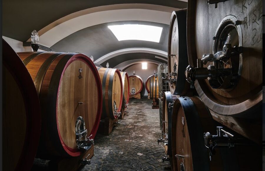 Mount Vesuvius: Vineyard Tour with Wine Tasting and Lunch - Lunch with olive oil, pasta, and local ingredients