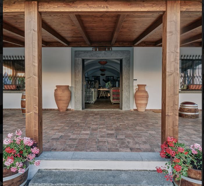 Mount Vesuvius: Vineyard Tour with Wine Tasting and Lunch - Who will enjoy this experience most?