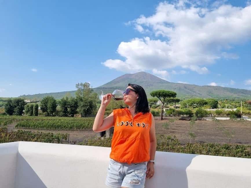 Mount Vesuvius: Vineyards Tour with Wine Tasting and Lunch - Walking among the vines with Vesuvius in view