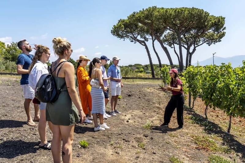Mount Vesuvius: Vineyards Tour with Wine Tasting and Lunch - Finding Cantina del Vesuvio Winery