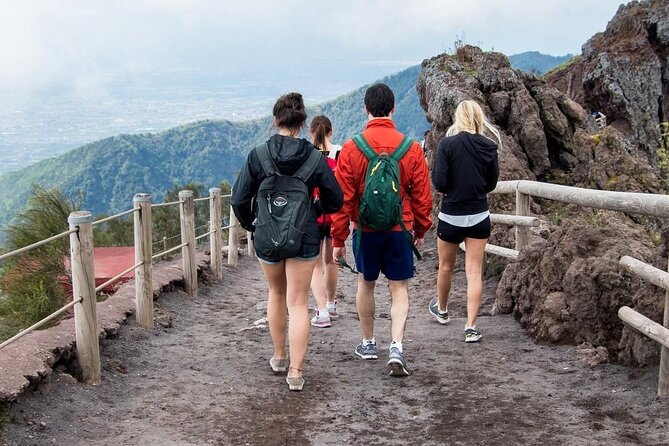 Mt. Vesuvius Tour from Naples with Lunch at a Vineyard Included - Is $108.89 a fair price?