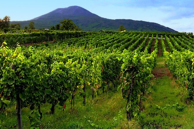 Mt. Vesuvius Tour from Naples with Lunch at a Vineyard Included - Booking details and cancellation advice