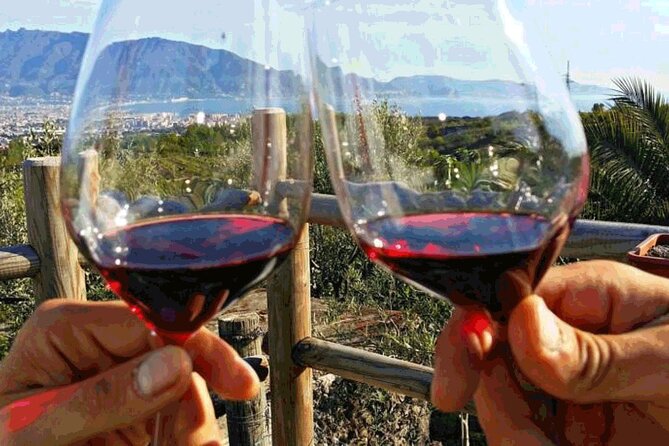 Mt. Vesuvius Tour from Naples with Lunch at a Vineyard Included - The 11:00 am departure from Starhotels Terminus