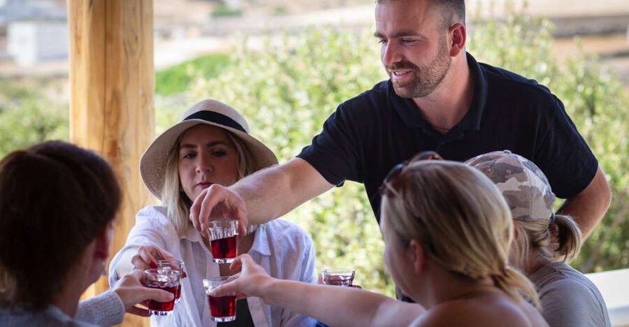 Mykonos: Winery Vineyard Experience with Food & Wine Tasting - Five good reasons to consider this Mykonos winery visit