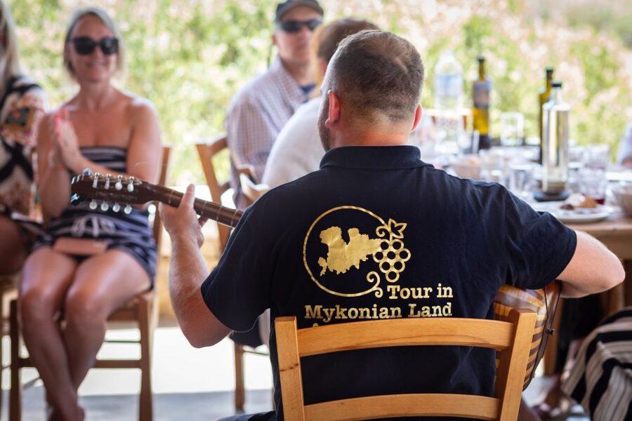 Mykonos: Winery Vineyard Experience with Food & Wine Tasting - Should you book the Mykonos winery experience?