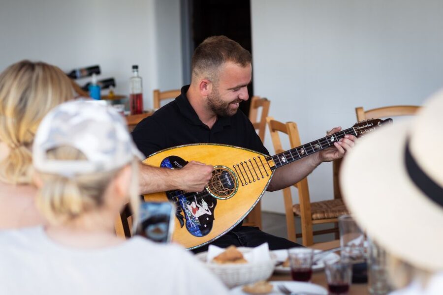 Mykonos: Winery Vineyard Experience with Food & Wine Tasting - The tasting: organic wine with food from nearby families