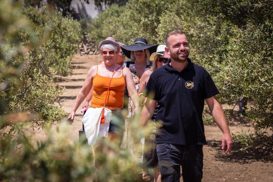 Mykonos: Winery Vineyard Experience with Food & Wine Tasting - Music that changes the mood