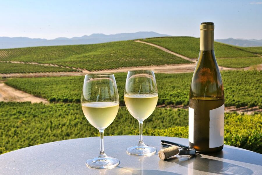 Nafplion: Nemea Vineyards Wine Tour - Is $247 a fair price?