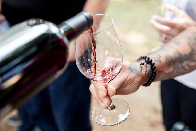 Napa and Sonoma Wine Country Full-Day Tour from San Francisco - A full day from San Francisco to Sonoma and Napa