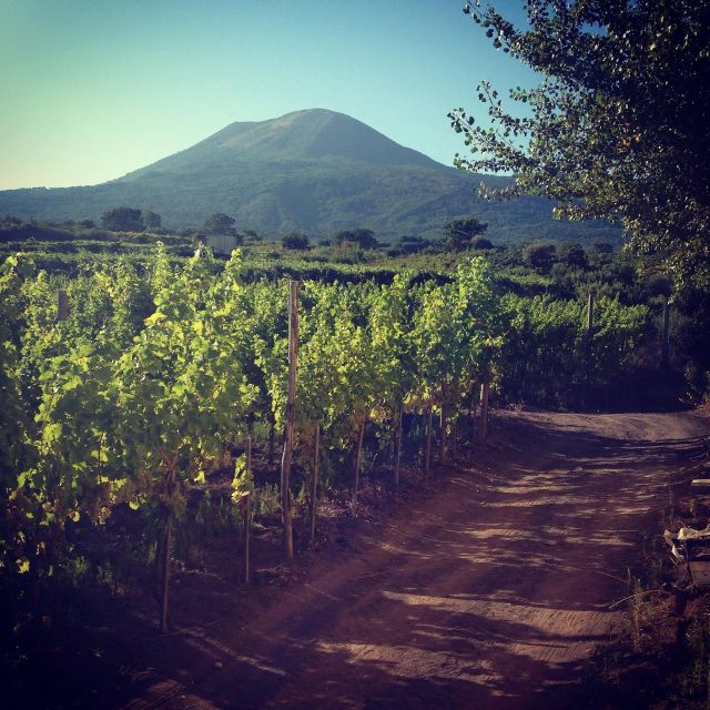 Naples: Mount Vesuvius Vineyard Tour w/ Lunch & Wine Tasting - The view is part of the meal