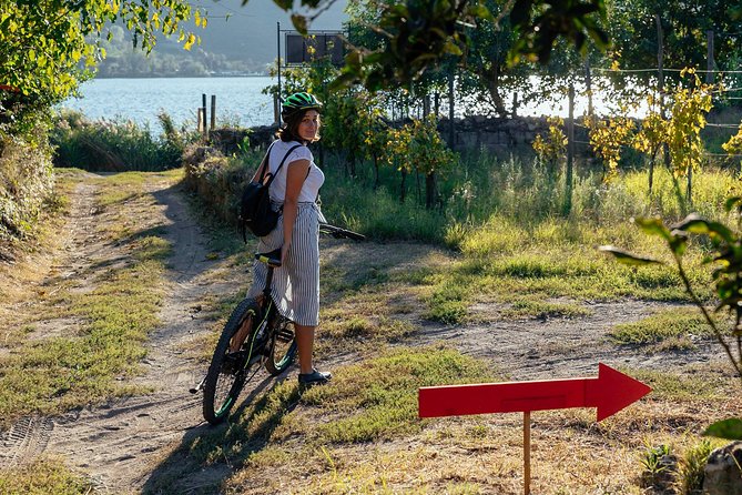 Naples Scenic E-Bike Ride to a Local Vineyard with Meal - Is $95.58 a Fair Price?