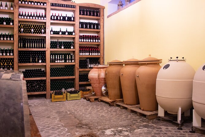 Naples Tuk Tuk Experience Views and Vineyards - Timing, meeting point, and the ride back