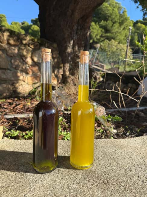 Near Malaga: Mijas Organic Vineyard, 5 Wines, 2 Oils & Tapas - Key points before you book