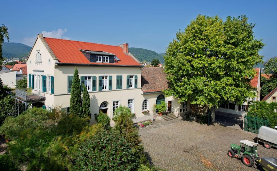 Neustadt: Wine tasting with cellar tour and vineyard visit - The tasting begins with seven Palatinate wines