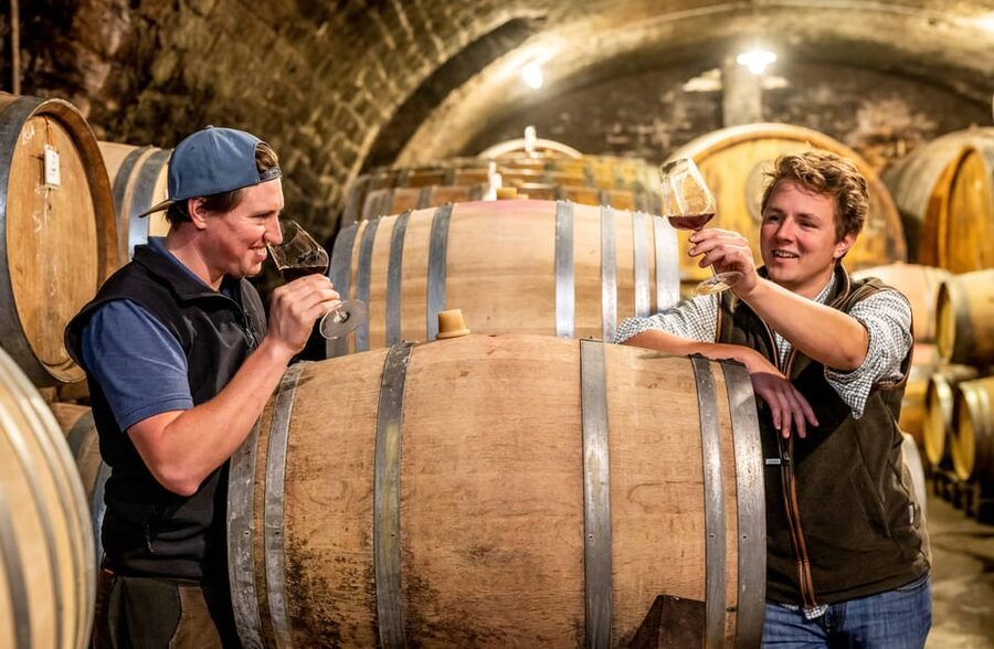 Neustadt: Wine tasting with cellar tour and vineyard visit - The house vineyard makes the work more tangible