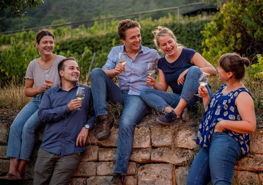 Neustadt: Wine tasting with cellar tour and vineyard visit - The historic cellar adds the sense of place