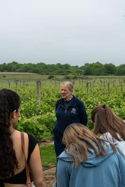 Newport: Vineyards Winery Tour + Tasting - Four things to know before you book