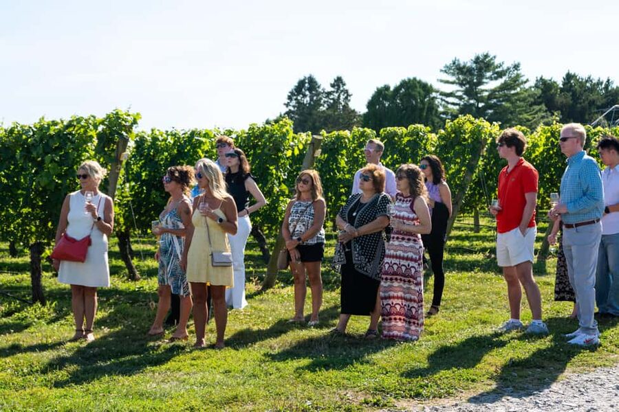 Newport: Vineyards Winery Tour + Tasting - A four-wine tasting with plenty of choice
