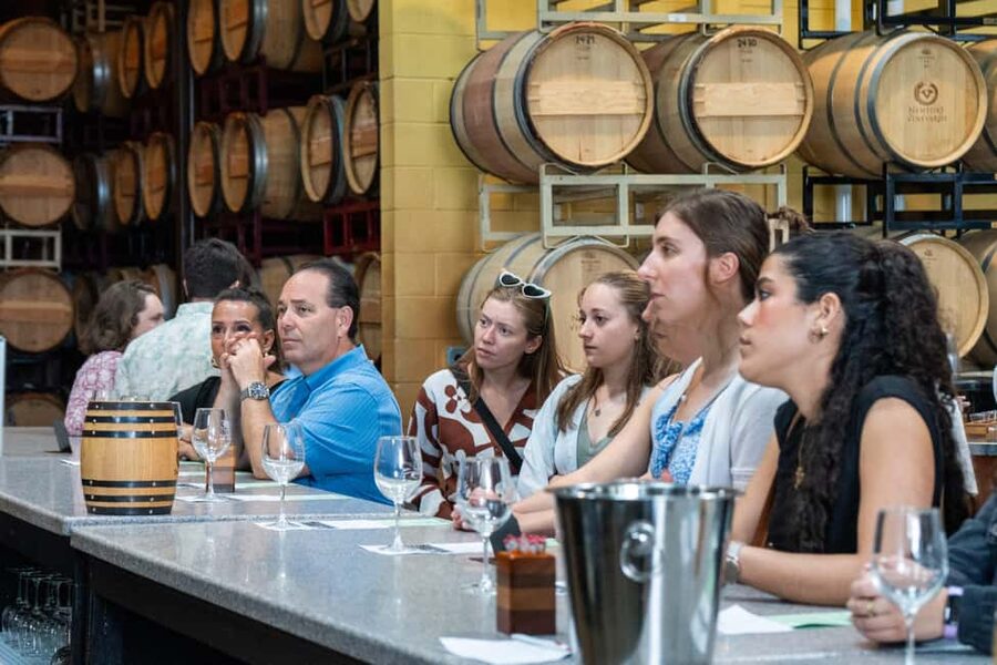 Newport: Vineyards Winery Tour + Tasting - Standing, mobility, and comfort concerns