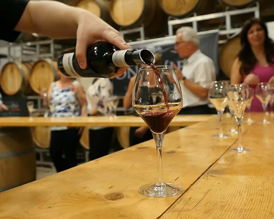 Niagara: Lunch in the Vineyard Experience - The first winery sets the tone