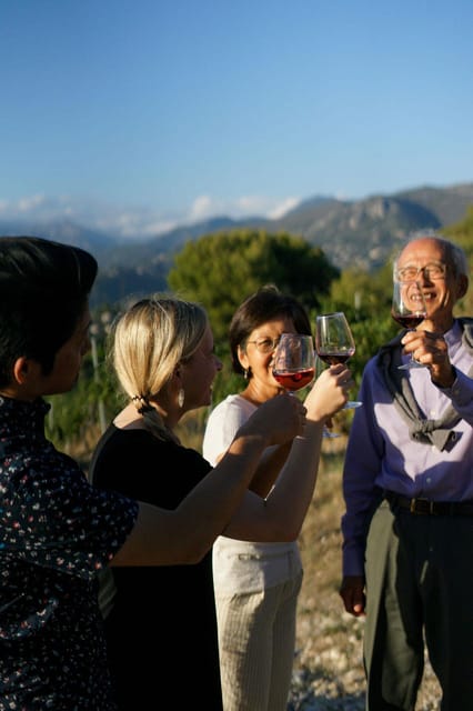 Nice: Vineyard Tour with Wine Tasting - Key points to know before booking