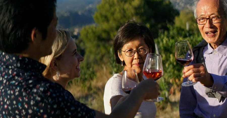 Nice: Vineyard Tour with Wine Tasting - One hour among the vines and production equipment