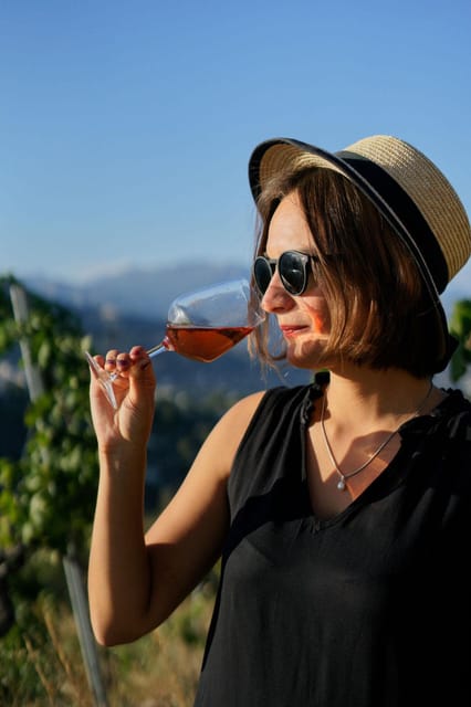 Nice: Vineyard Tour with Wine Tasting - The cellar tasting: three wines and useful pairings