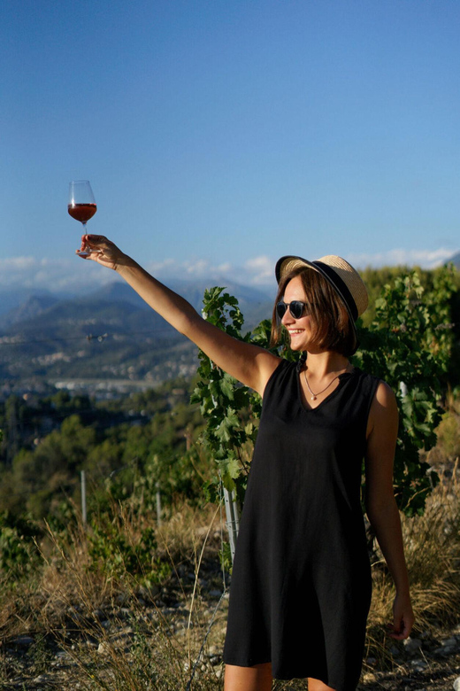 Nice: Vineyard Tour with Wine Tasting - What the 4.9 rating tells you, and what it does not
