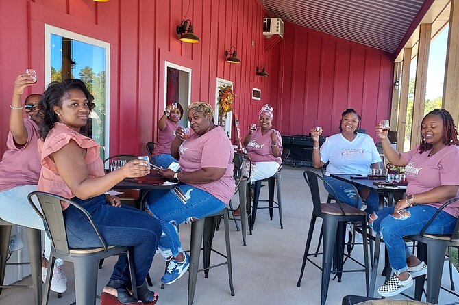 North Georgia Mountains Three Vineyard Wine Tasting Tour - Key points at a glance